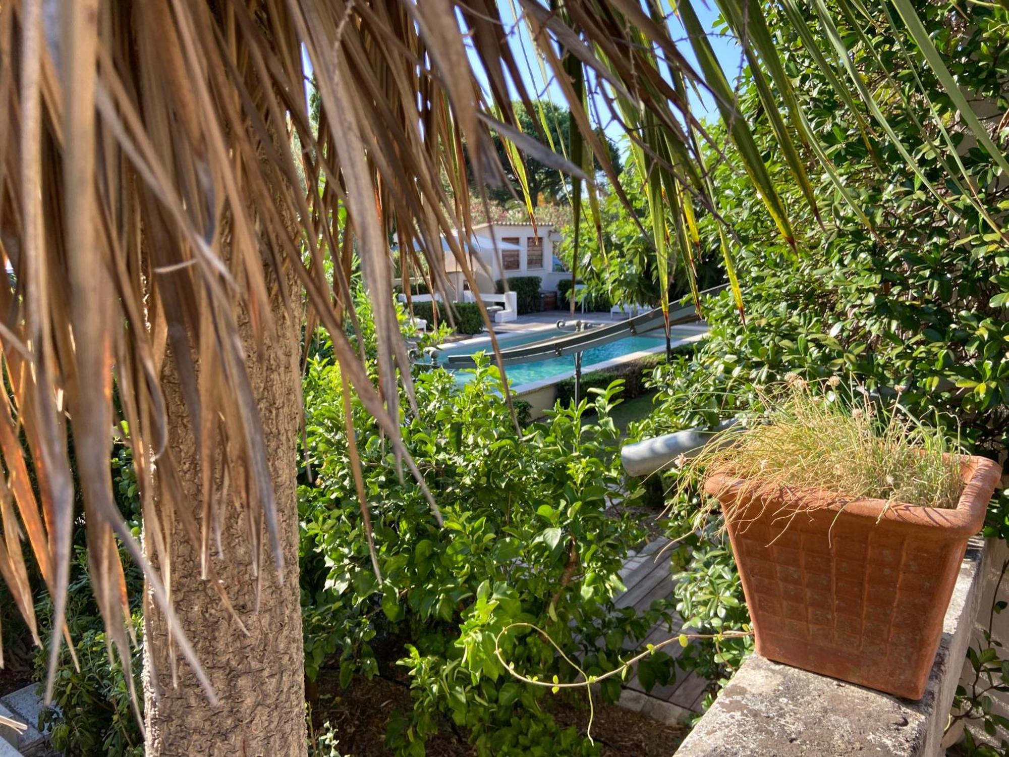 Villa La Begude - Boutique Luxury B&B แซ็ง-ทรอเป ภายนอก รูปภาพ